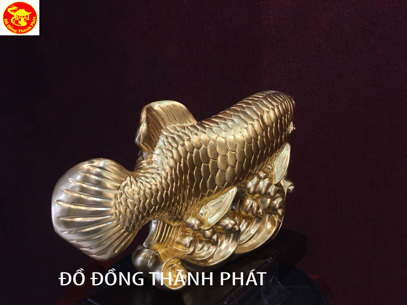 cá kim long dát vàng 9999