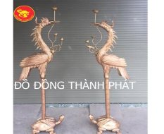 Hạc Đồng Cung Tiến Cao 2,3 m